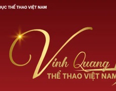 Các ngôi sao bóng đá và thể thao Việt Nam cùng chạy đua trên TikTok