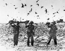 Ngày 29-4-1975: Thần tốc giải phóng quần đảo Trường Sa