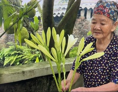Tự hào người 'giữ lửa' thông tin giữa bom đạn  