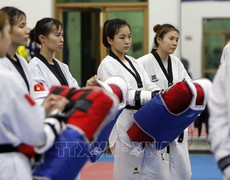 Đội tuyển Taekwondo Việt Nam tranh tài tại giải vô địch Đông Nam Á 2025
