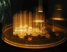 Triển lãm 'Tỏa V' - Cuộc đối thoại giữa nghệ thuật và khoa học