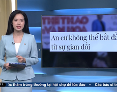 Điểm báo VTV1: An cư không thể bắt đầu từ sự gian dối