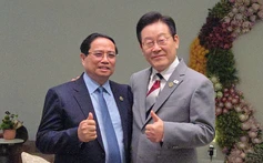 Thủ tướng Phạm Minh Chính gặp song phương lãnh đạo Hàn Quốc, Ấn Độ, Tây Ban Nha