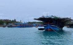 Bão số 13: Cách Quy Nhơn 720km về phía Đông Đông Nam