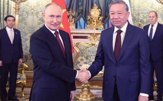 Tổng Bí thư Tô Lâm hội đàm hẹp với Tổng thống Nga Vladimir Putin