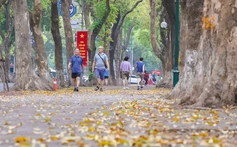Hình ảnh một Hà Nội đẹp dịu dàng mùa lá rụng