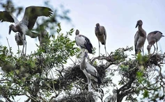 Hình ảnh cảm nhận “sống hài hòa với thiên nhiên và phát triển bền vững”