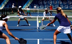 Sự thật khó tin về pickleball trong các môn thể thao dùng vợt