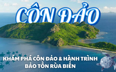 Khám phá Côn Đảo và hành trình bảo tồn rùa biển