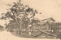 Ảnh = Ký ức = Lịch sử (kỳ 65): Những trận bão hơn 1 thế kỷ trước