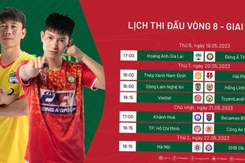 Lịch thi đấu bóng đá hôm nay 19/5: HAGL vs Thanh Hóa