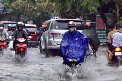 TP. Hồ Chí Minh: Mưa to gây ngập, giông lốc làm đổ nhiều cây 