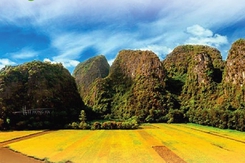 Tuần du lịch Ninh Bình năm 2023: Sắc vàng Tam Cốc - Tràng An