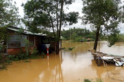 Các tỉnh, thành phố ven biển chủ động ứng phó với diễn biến của áp thấp nhiệt đới