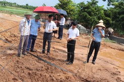 Hà Nội: Đề xuất khai quật khẩn cấp mộ gạch mới phát hiện tại huyện Đan Phượng