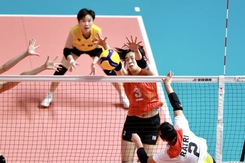 TRỰC TIẾP bóng chuyền nữ Việt Nam vs Uzbekistan hôm nay, xem AVC Challenge Cup 2023 (19h00)