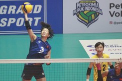 Chưa đánh bán kết, báo Thái Lan dự đoán luôn Việt Nam vô địch giải bóng chuyền châu Á