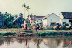 Cuộc đời sau ống kính: Ngày mùa 1/4 thế kỷ trước