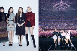Trẻ vị thành niên có được đi xem concert Blackpink không, cần tuân thủ quy tắc gì?