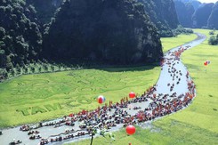 Khu du lịch Tam Cốc - Bích Động (Ninh Bình) tạm dừng đón khách tham quan