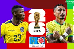 Nhận định, soi tỷ lệ Ecuador vs Brazil 6h00 ngày 6/6, VL World Cup 2026 khu vực Nam Mỹ 