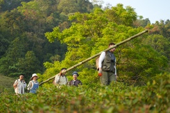 Điểm danh loạt chương trình truyền hình thực tế 