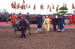 Khai mạc Lễ hội Tịch điền Đọi Sơn Xuân Bính Ngọ 2026
