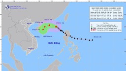 Bão số 8 giật cấp 11 di chuyển theo hướng Tây Tây Bắc