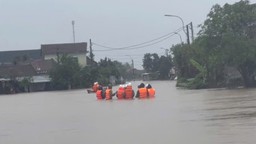 Chuyên gia khuyến cáo gì về 100 can axit sunfuric bị lũ cuốn trôi?