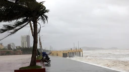 Bão số 15 mạnh thêm, giữ nguyên hướng di chuyển