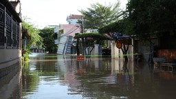 Thiệt hại hơn 170 tỷ đồng do bão số 13, Đắk Lắk dồn lực khắc phục hậu quả