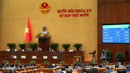 Từ bảo vệ "biên giới mềm" đến người yếu thế