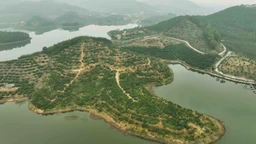 Dự báo thời tiết ngày 14/12: Bắc Bộ trời rét đậm, có nơi rét hại