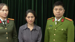 Khởi tố, bắt tạm giam Giám đốc Công ty tổ chức chương trình "Về đây bốn cánh chim trời"