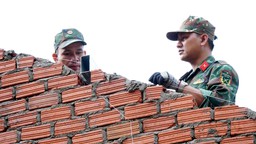 Thủ tướng chỉ đạo đẩy nhanh tiến độ thực hiện “Chiến dịch Quang Trung”