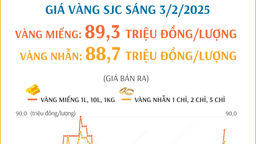 Giá vàng hôm nay 3/2 tăng mạnh sau kỳ nghỉ Tết