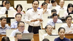 Kỳ họp thứ 9, Quốc hội khóa XV: Thảo luận về cơ chế, chính sách phát triển kinh tế tư nhân