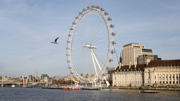 Anh: Vòng quay London Eye gặp sự cố giữa thời tiết nắng nóng