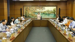 Cân nhắc kỹ việc bỏ hình phạt tử hình đối với tội ma túy, tham nhũng
