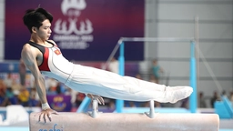Thể thao Việt Nam và thách thức TOP 50 Olympic: Chiếc huy chương của thể dục dụng cụ