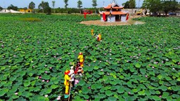 Hải Dương: Lan tỏa nét văn hóa “Trà sen Kiếp Bạc”