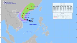 Dự báo thời tiết ngày 12/6: Vùng gần tâm bão gió mạnh cấp 8-9, giật cấp 11