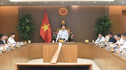Kết luận của Phó Thủ tướng về Đề án “Quốc tế hoá văn hoá Việt Nam và Việt Nam hoá văn hoá quốc tế”