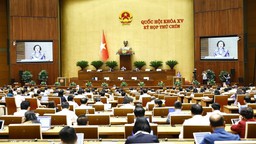 Thực hiện đồng bộ, quyết liệt các giải pháp về sắp xếp, kiện toàn tổ chức bộ máy