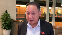 Cần có chế tài đủ mạnh để ngăn chặn hàng giả, có lộ trình cụ thể đối với thu thuế điện tử