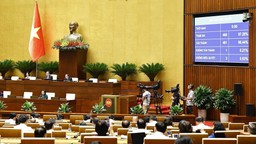 Sự kiện nổi bật tuần từ 9-14/6/2025