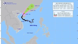 Thời tiết ngày 15/6: Tin cuối cùng về bão số 1