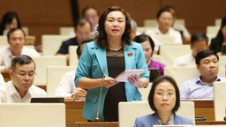 Hiện thực hiện hóa mục tiêu phát triển doanh nghiệp, thúc đẩy phát triển kinh tế tư nhân