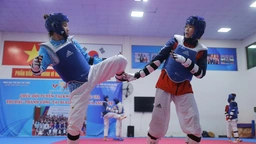 Đội tuyển taekwondo Việt Nam quyết tâm giành HCV SEA Games 33