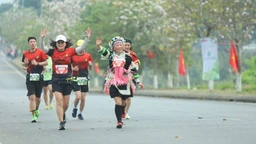 Chuyên đề 'Thể thao Việt Nam và thách thức Top 50 Olympic': Lối tắt – lối riêng 